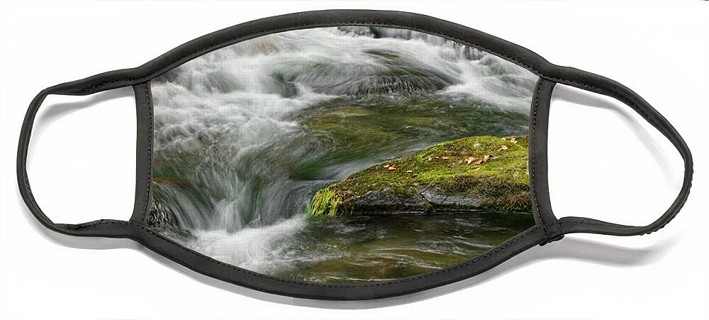 Smokies Face Mask featuring the photograph Little River 4 by Phil Perkins