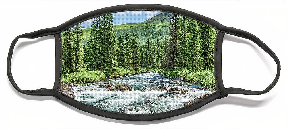 Little Susitna River Face Mask featuring the photograph Little Susitna River - Alaska by Dee Potter