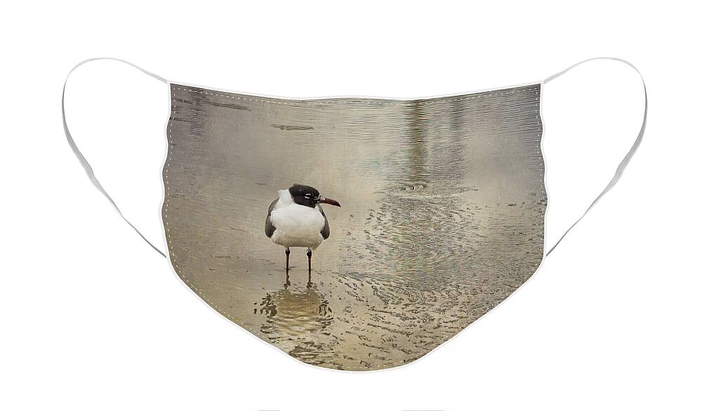 Seagull Face Mask featuring the photograph Lone Laughing Gull by Linda Lee Hall