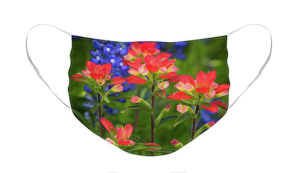 America Face Mask featuring the photograph Lone Star Blooms by Inge Johnsson