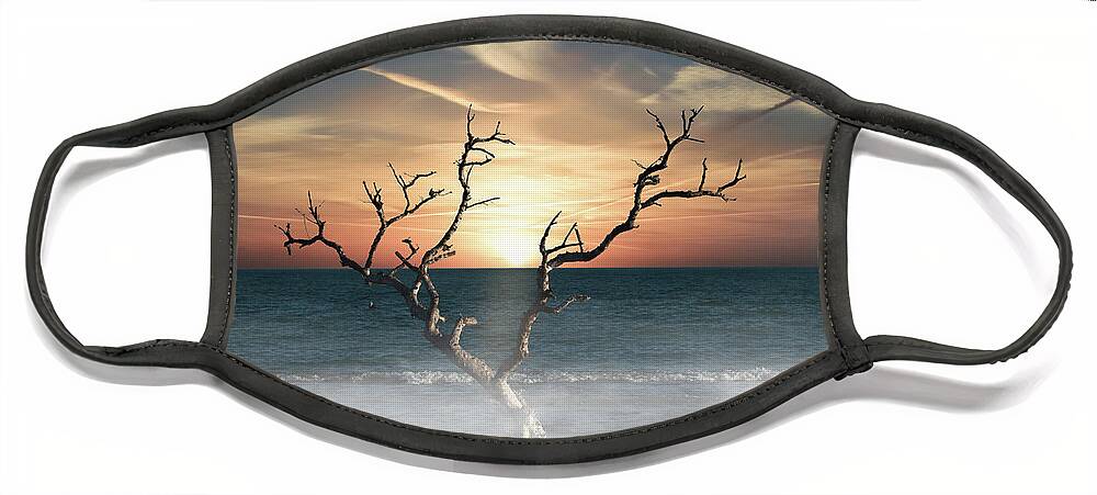 Dead Tree Face Mask featuring the photograph Lone Tree by Ed Taylor