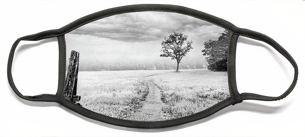 Barns Face Mask featuring the photograph Lone Tree on the Trail at Cades Cove Townsend Tennessee Black an by Debra and Dave Vanderlaan