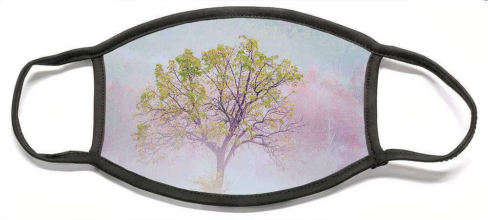 Fall Colors Face Mask featuring the photograph Lonely Tree by Darrell DeRosia