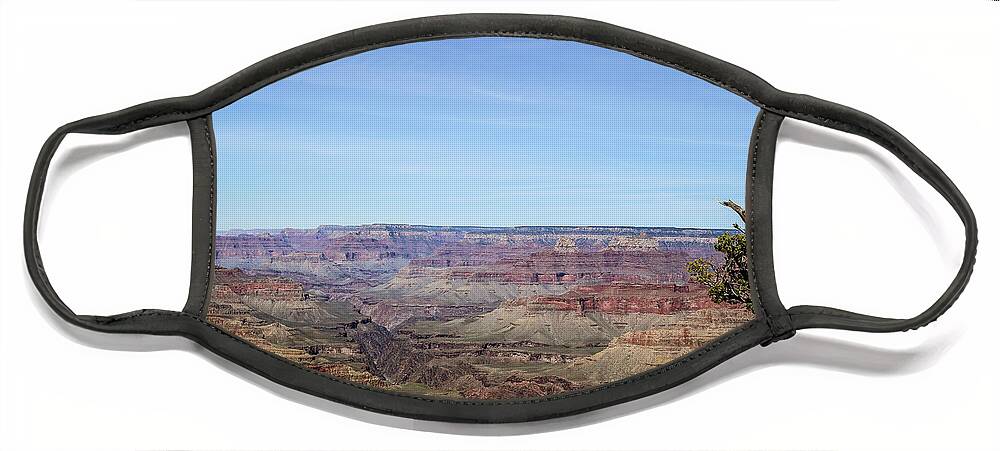 Grand Canyon Face Mask featuring the photograph lonely tree in Grand Canyon by Alberto Zanoni