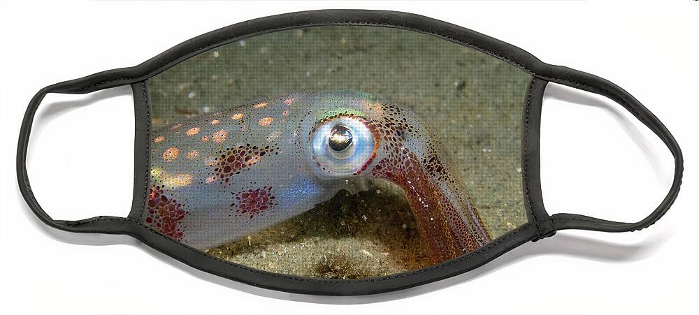 Squid Face Mask featuring the photograph Longfin Squid by Brian Weber
