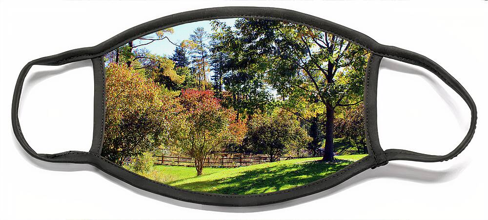 Fall Face Mask featuring the photograph Looking Down at the Pond by Christopher Reed
