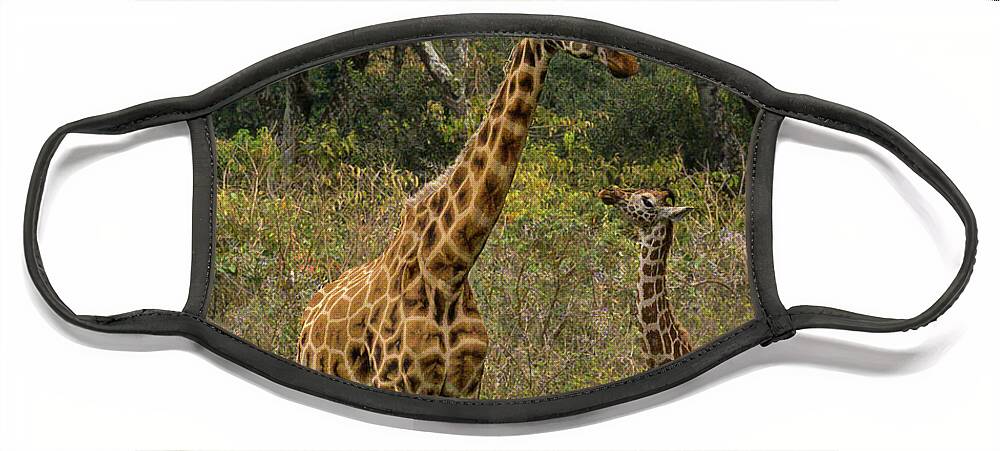 Africa Face Mask featuring the photograph Looking Up to Mom by Laura Hedien