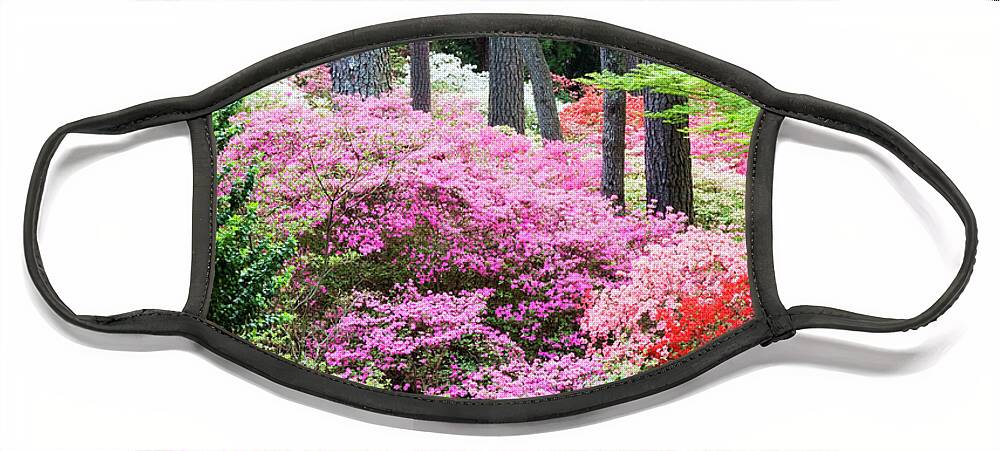 Azalea Face Mask featuring the photograph Lost in the Azaleas by Eggers Photography