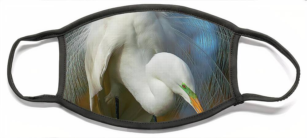Birds Face Mask featuring the photograph Love In The Air by Sylvia Goldkranz
