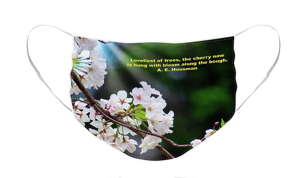 Inspirational Face Mask featuring the photograph Loveliest of Trees by Amy Dundon