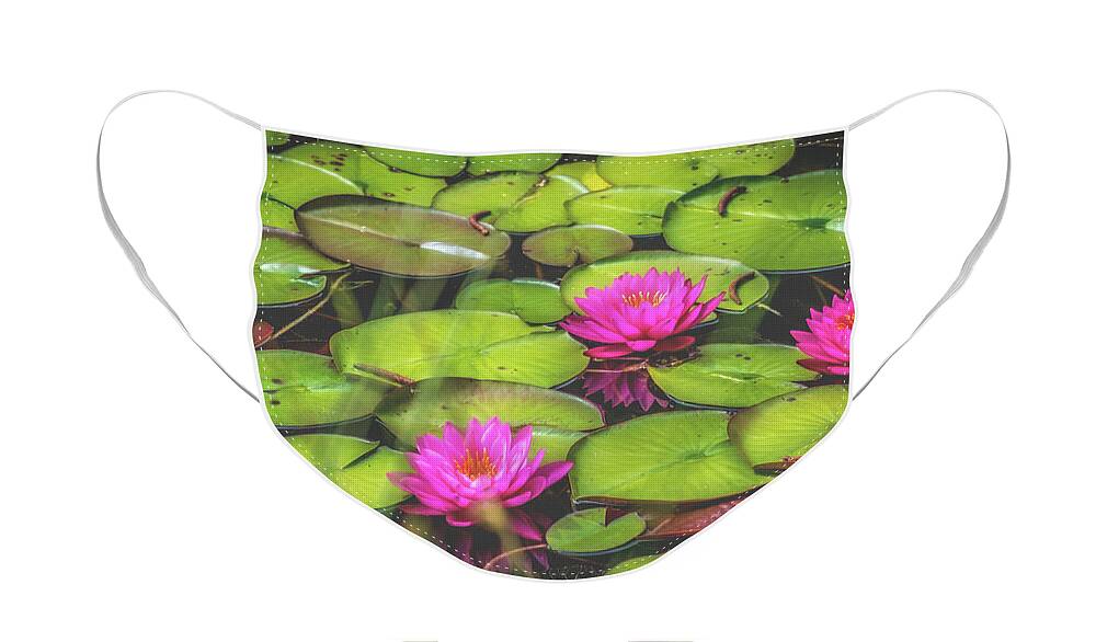 Lily Pond Face Mask featuring the photograph Lovely Lily Pond by Steph Gabler