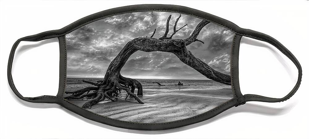 Clouds Face Mask featuring the photograph Low Tide at Sunrise at Driftwood Beach Jekyll Island Black and W by Debra and Dave Vanderlaan