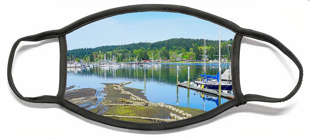 Landscape Face Mask featuring the photograph Low Tide by Bill TALICH