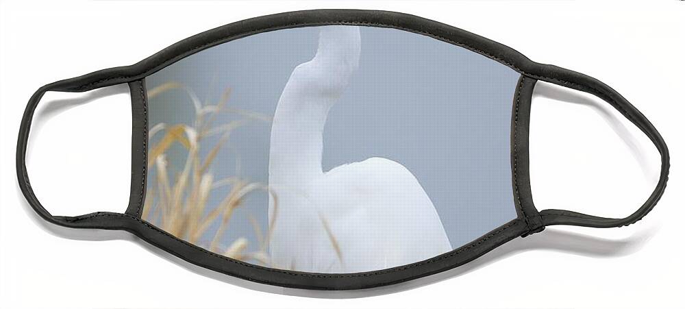 Egret Face Mask featuring the photograph Luminous Egret by Yvonne M Smith