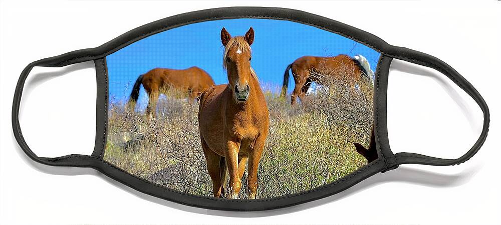 Salt River Wild Horses Face Mask featuring the digital art Lunch Time by Tammy Keyes
