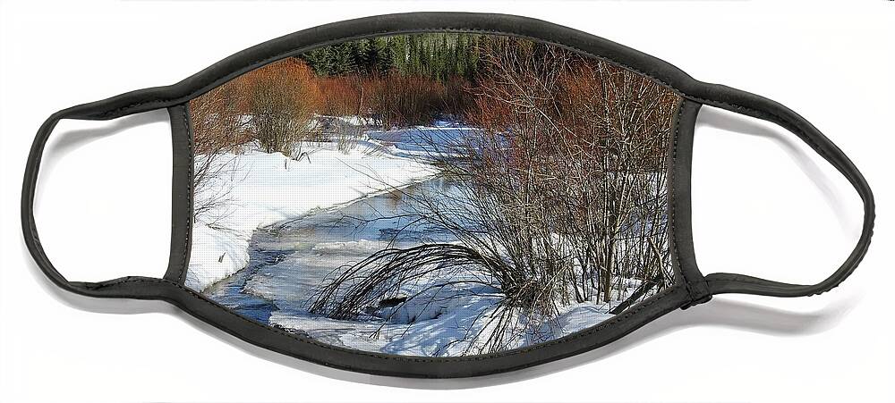 Creek Face Mask featuring the photograph Mackin Creek in March by Nicola Finch