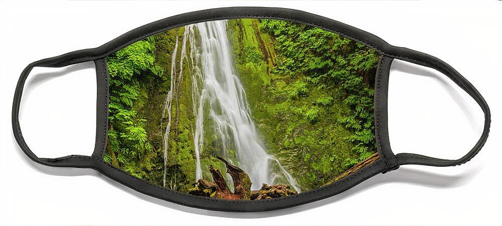 Madison Falls Face Mask featuring the photograph Madison Creek Falls by Steve L'Italien