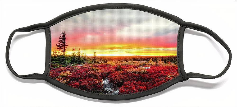 Landscape Face Mask featuring the photograph Magic of Autumn by C Renee Martin