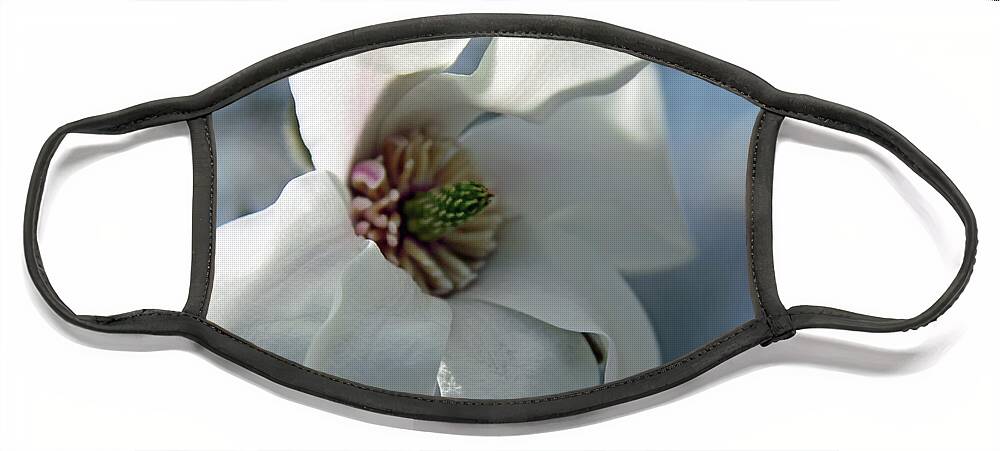 Magnolia Face Mask featuring the photograph Magnolia5471 by Carolyn Stagger Cokley