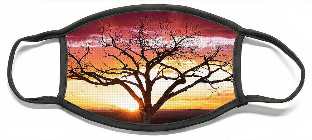 Taos Face Mask featuring the photograph Majestic Sunset with the Taos Welcome Tree by Elijah Rael