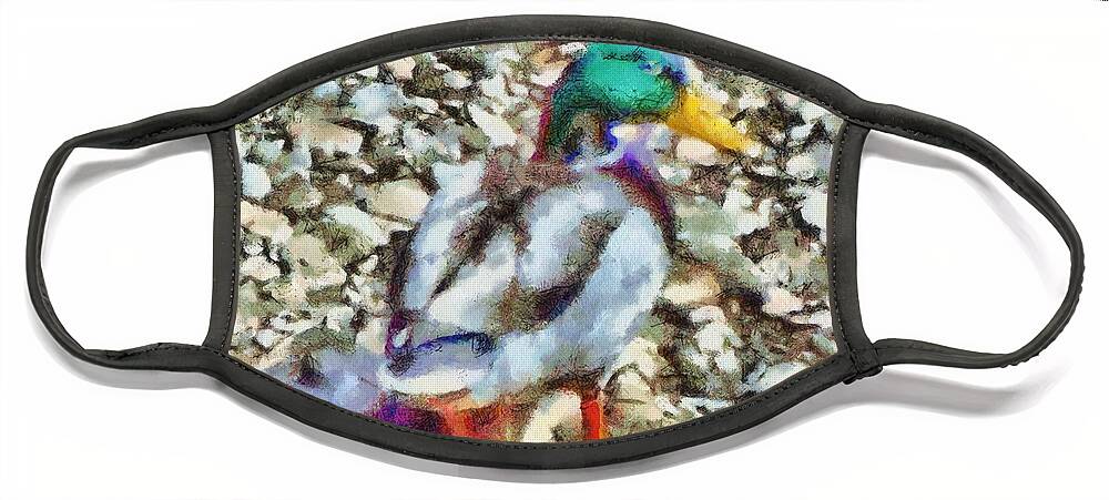 Mallard Face Mask featuring the mixed media Male Mallard Duck by Christopher Reed