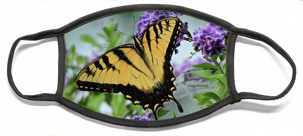 Tiger Swallowtail Face Mask featuring the photograph Male Tiger Swallowtail by Nancy Denmark