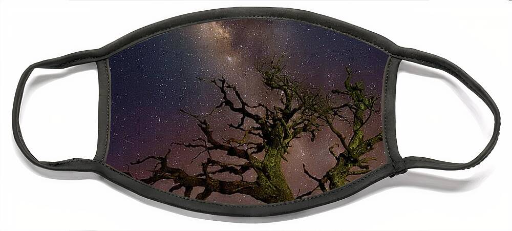 Milky Way Face Mask featuring the photograph Mamane with Milky Way Mauna Kea by Heidi Fickinger