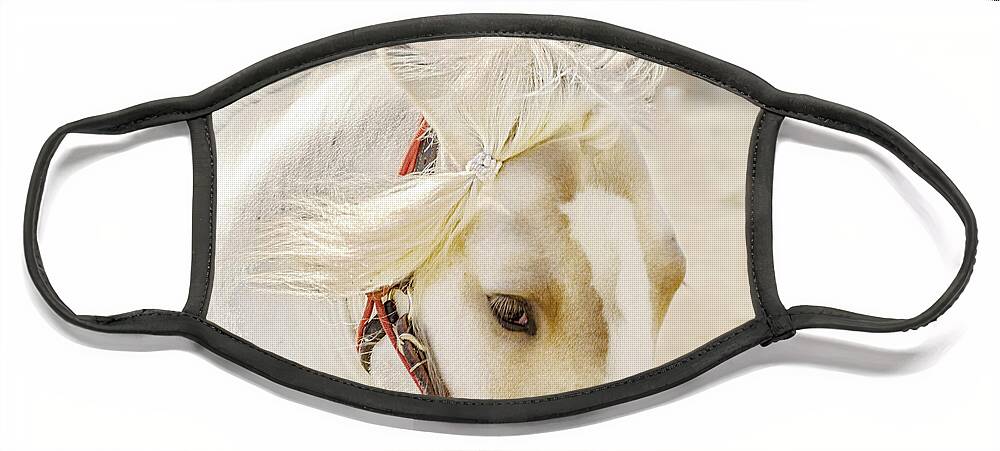 Golden Equestrian Horse Art Prints Face Mask featuring the photograph Mane In The Air by Jerry Cowart