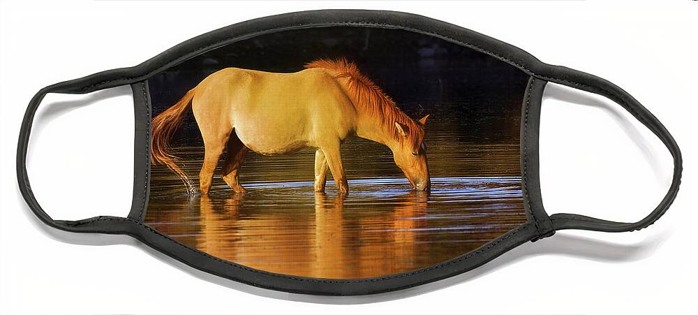 Ild Mustang Horse Photography Fine Art Prints Face Mask featuring the photograph Mare At Sunset by Jerry Cowart