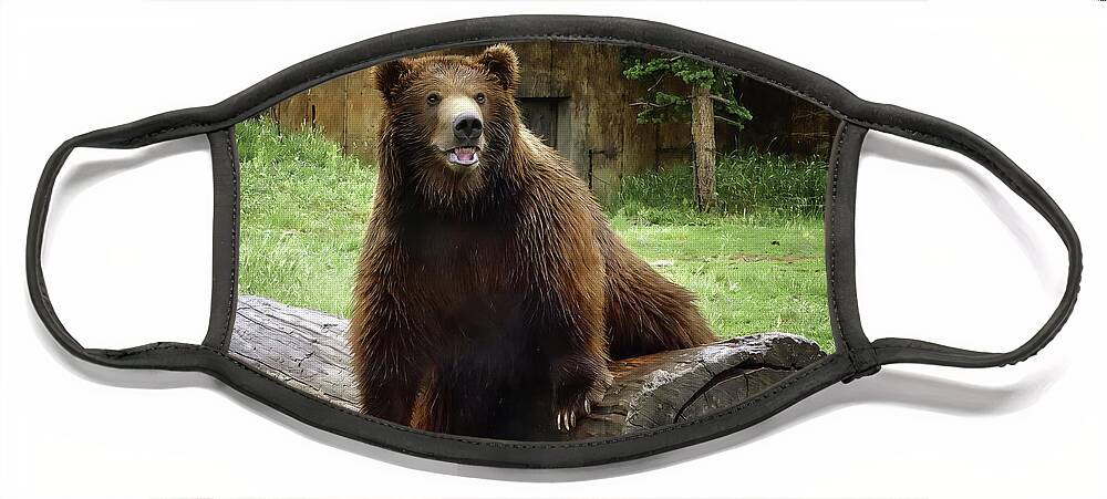 Grizzly Face Mask featuring the photograph Max the Grizzly by Scott Cameron