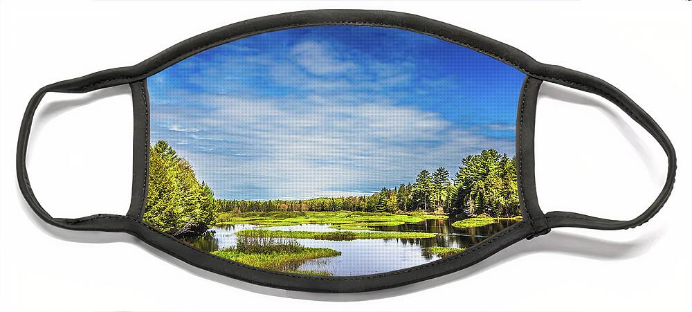 May In The Adirondacks Face Mask featuring the photograph May in the Adirondacks by David Patterson