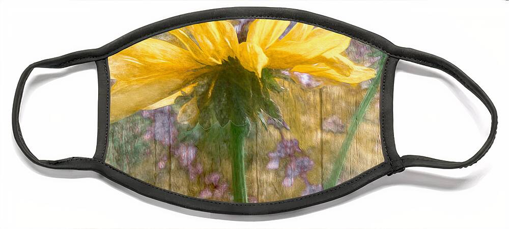  Face Mask featuring the photograph Mellow Yellow Dream by Shara Abel