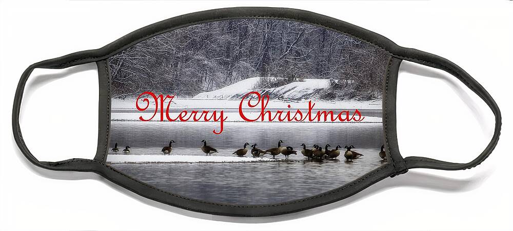 Christmas Face Mask featuring the photograph Merry Christmas Canadian Geese by Mary Walchuck
