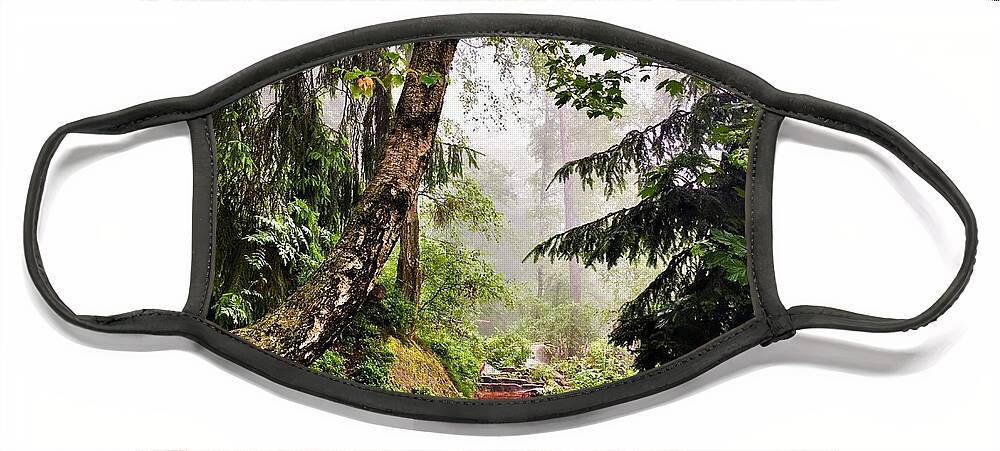 Forest Face Mask featuring the photograph Mesmerizing Forest by Kathrin Poersch