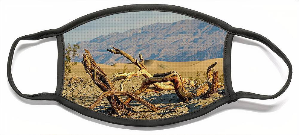Landscape Face Mask featuring the photograph Mesquite by Jermaine Beckley