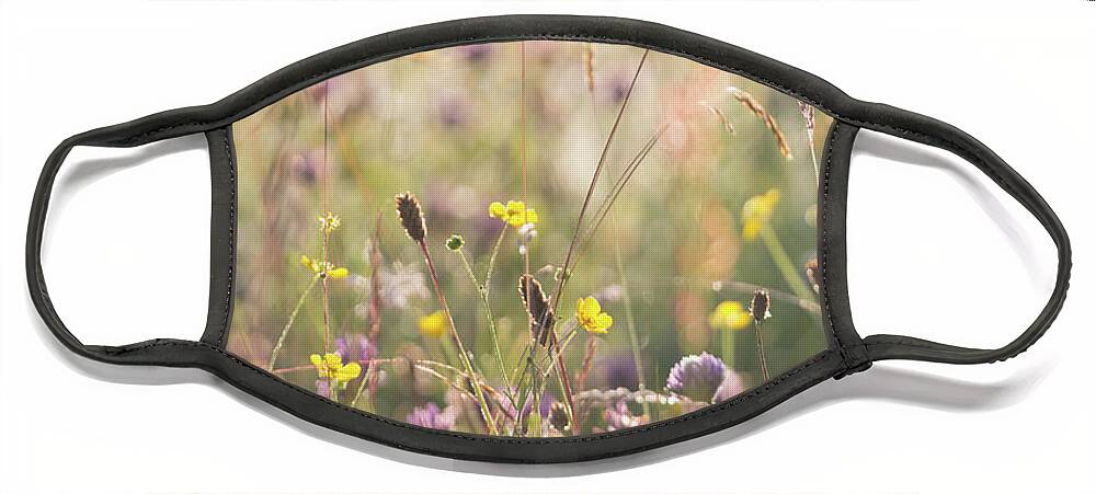Mid Summer Meadow Face Mask featuring the photograph Mid summer meadow by Anita Nicholson