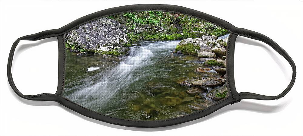 Tennessee Face Mask featuring the photograph Middle Prong Little River 26 by Phil Perkins
