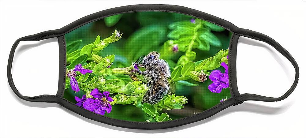 Bees Face Mask featuring the photograph Mining Bee In Mexican Heather by DB Hayes