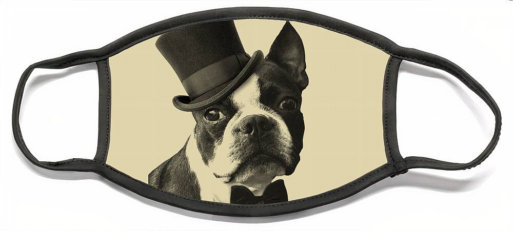 Boston Terrier Face Mask featuring the digital art Mister Boston by Madame Memento