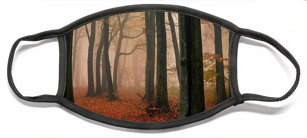 Balkan Mountains Face Mask featuring the photograph Misty Autumn Forest by Evgeni Dinev
