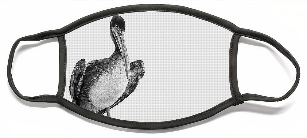 Brown Pelican Face Mask featuring the photograph Misty Morning Contemplations by Puttaswamy Ravishankar