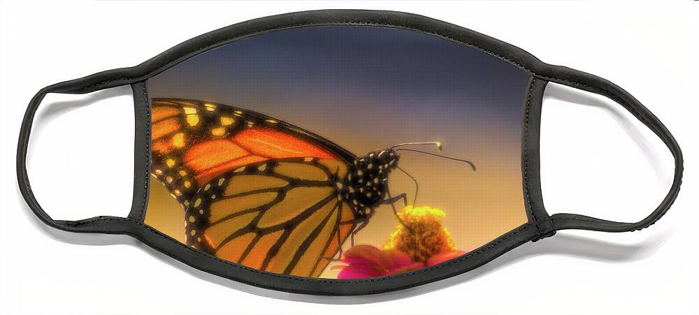 Monarch Face Mask featuring the photograph Monarch Soft Landing on a Zinnia by Jason Fink