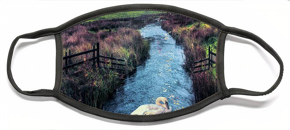 Birds Face Mask featuring the photograph Moonlight on the Swans II at Nightfall by Debra and Dave Vanderlaan
