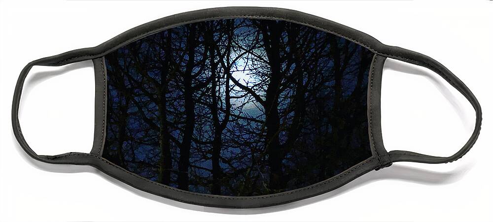 Moonlight Face Mask featuring the photograph Moonlight Through the Silhouetted Trees by Alan Schwartz