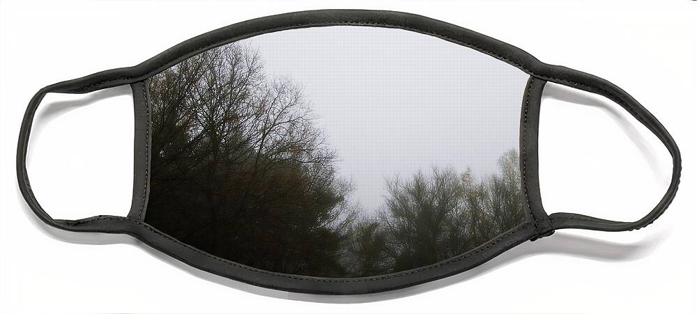 Nature Face Mask featuring the photograph Morning Fog through the Branches by Frank J Casella