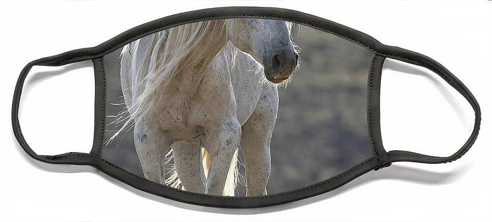 Wild Horses Face Mask featuring the photograph Morning with the Old Man 3 by Mary Hone