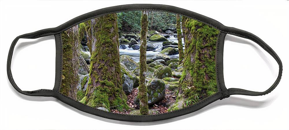 Tennessee Face Mask featuring the photograph Moss Covered Trees by Phil Perkins