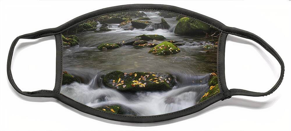 Middle Prong Trail Face Mask featuring the photograph Moss On Middle Prong 4 by Phil Perkins