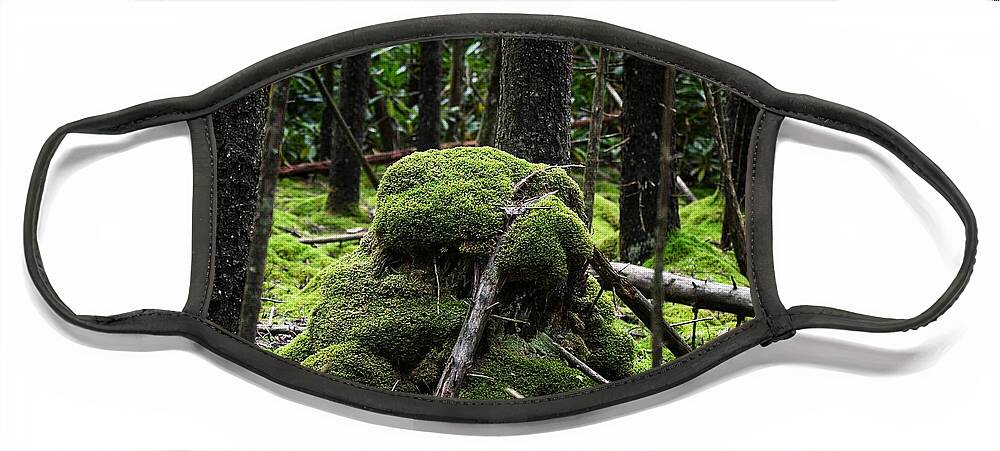 Photo Face Mask featuring the photograph Mossy Rock by Evan Foster