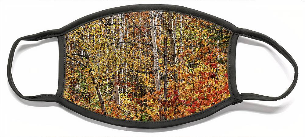 Fall Face Mask featuring the photograph Mother Nature in her Fall Glory by Sandra Huston